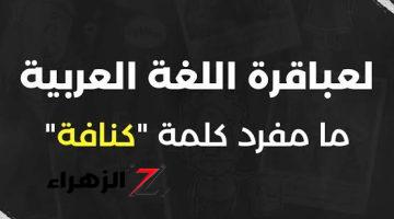 “مليون طالب مش عارفينها”.. دكتور جماعي يثير الجدل ويجيب عل سؤال مفرد كلمة كنافة في اللغة العربية.. الاجابة صدمت الطلبة والمدرسين!!