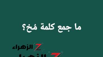 «فشل في حل هذا اللغز 50 مدرس».. هل تعرف ما هو جمع كلمة ” مخ ” في اللغة العربية .. خبير جامعي يجيب على السؤال؟؟