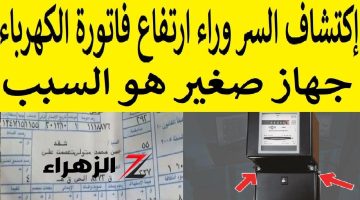 “كهربائي عجوز قالي سر خطير ” .. طريقة جهنمية لتقليل فاتورة الكهرباء ل 90%.. الحركة دي هي السر !!