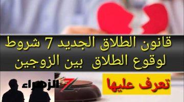 الطلاق مبقاش سهل… الحكومة تضع 7 شروط لوقع الطلاق بين الزوجين وفقًا لقانون الأحوال الشخصية الجديد 2024