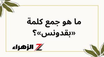 “لو ناصح تعالى جاوب”.. إيه جمع كلمة بقدونس اللي عقدت طلاب الثانوية في امتحان العربي؟!!.. محدش عرفها!!”