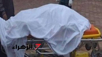 مصرع مواطن إثر وقوع حادث تصادم سيارة به في الفيوم