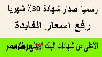 الاستثمار الذكي يبدأ من هنا.. شهادات البنك الأهلي الجديدة 2024 بعائد يصل الي 30 %.. خطوة واحدة تفصلك عن الثراء