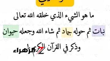 مستحيل تخطر علي بالك .. ما هو الشيء الذي خلقه الله نبات ثم حوله جماد ثم حيوان؟! ..قليل اللي يعرفها