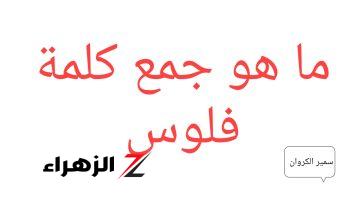 احتار فيها علماء اللغة… سؤال يتحدى جميع علماء اللغة العربية.. ما هو جمع كلمة “فلوس” التي اثارت حيرة الجميع!!!