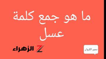 لغز جنن الملايين… هل تعلم ما هو جمع كلمة”عسل” التي حيرت جميع مدرسين اللغة العربية… تحدي للمحترفين فقط!!!