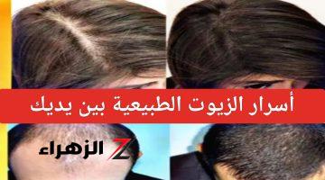 “وداعاً للصلع”.. أسرار الزيوت الطبيعية لإنبات الشعر وتقوية فروة الرأس أعيدي الحيوية لشعرك من جديد