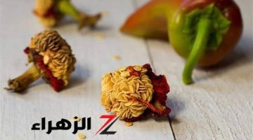 “ياريتني عرفتها من زمان!” … وصفة بذور الفلفل.. هتنبهر من النتيجة!!