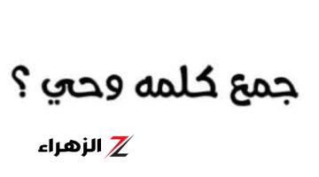 «سؤال جنن كل الناس» ..  ما هو جمع كلمة وحي في اللغة العربية؟! .. الإجابة عمرها ما خطرت على بالك.