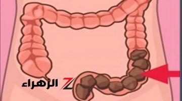 «دون الحاجة للطبيب».. شابة أردنية تكشف عن عشبة جبارة موجودة في كل مطبخ تنظف القولون في 5 دقائق وتعتبر الحل الأمثل للتخلص من البراز المتحجر!!