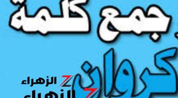 “99% من الطلاب معرفوش يحلوه” .. هل تعلم ما هو جمع كلمة “كروان” في معجم اللغة العربية التي حيرت المعلمين؟! .. إجابة غير متوقعة من استاذ جامعي