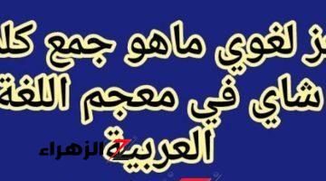 “سؤال أبكي أكتر من الف طالب” .. ماهو جمع كلمة “شاي” التي حيرت الطلاب في امتحان اللغة العربية؟ الإجابة غير متوقعة من دكتور جامعي