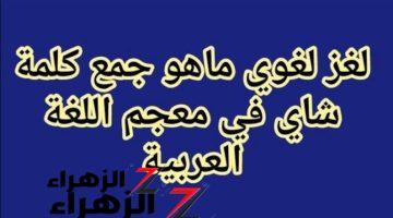 لو جبتها فأنت عبقري.. هل تعرف ما هو جمع كلمة “شاي” في المعجم اللغوي .. أراهنك انك تعرف تحلها لوحدك !!