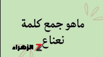 العباقرة معرفوش يحلوها! .. ما هو جمع كلمة نعناع في المعجم العربي أبكت ملايين الطلاب ؟ .. المدرسين احتاروا فيها!