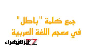 حير ملايين الطلاب .. ما هو”جمع كلمة باطل” فى اللغة العربية؟!.. الإجابة غير متوقعة