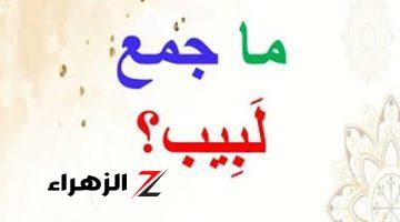 “5% بس اللي عرفوا يحلوها” .. ماهو جمع كلمة “لبيب” في اللغة العربية .. تبقى عبقري لو عرفت تحلها !!!