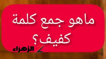 “سؤال جنن طلاب الثانوية العامة” .. ماهو جمع كلمة “كفيف” في معجم اللغة العربية التي حيرت خبراء اللغة ذات نفسهم .. تبقى عبقري لو حلتها !!!