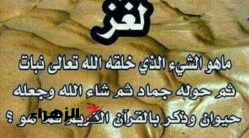 “معجزة ربانية ماتخطرش على بالك” .. هل تعلم ما هو الشيء الذي خلقه الله نبات ثم حوله إلى جماد ثم حيوان؟! .. مش هتصدق هو إيه !!!