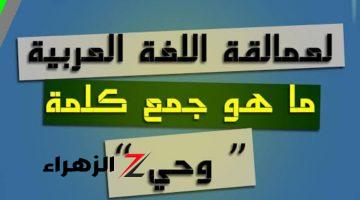 “لغز لعمالقة اللغة” .. ما هو جمع كلمة “وحي” في اللغة العربية التي أبكت ملايين الطلاب .. إجابة الكل بيدور عليها !!!