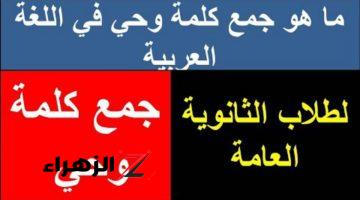 “سؤال حير عقول الطلاب” .. ماهو جمع كلمة وحي في المعجم اللغوي .. خبراء اللغة يوضحون الإجابة الصحيحة !!!