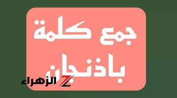 الكلمة التي حيرت العقول.. ما هو جمع كلمة باذنجان في اللغة العربية.. هتتفاجئ اما تعرف الاجابة