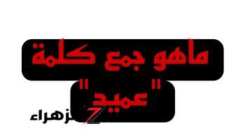 “ملايين الطلاب سقطوا بسببها” .. دكتور جامعي يجيب عن سؤال ماهو جمع كلمة “عميد” في قاموس اللغة العربية .. الكل عجز عن حلها !!!