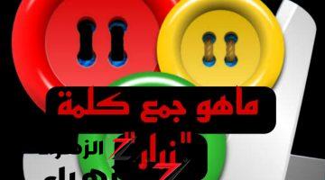 “من معجزات جموع اللغة العربية ” .. ما هو جمع كلمة “زرار” في القاموس اللغوي؟ سؤال حير الملايين .. 99% لم يعرفوا الإجابة الصحيحة !!!