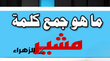 “سؤال عجز عن حله دكاترة الجامعة” .. هل تعلم ماهو جمع كلمة “مشير” التي حيرت ملايين الطلاب .. إجابة الكل بيدور عليها!!!