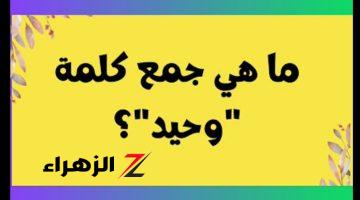 “سؤال سقط جميع الطلاب وحير المدرسين” .. ماهو جمع كلمة “وحيد” في معجم اللغة العربية .. اعرف الإجابة الصح قبل أي حد !!!