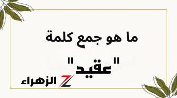 “موتو نفسهم من العياط بسببه” .. هل تعرف حل سؤال جمع كلمة “عقيد” في اللغة العربية ؟! .. محدش عرف الإجابة الصح غير 5% بس!!!