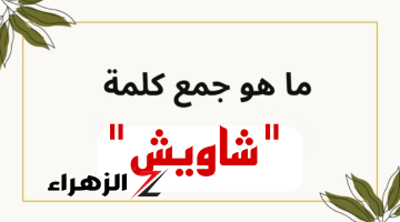 “لغز للأذكياء فقط” .. ماهو جمع كلمة “شاويش” في اللغة العربية؟ السؤال الذي أبكي ملايين الطلاب .. إجابة ماتخطرش على بال حد !!!