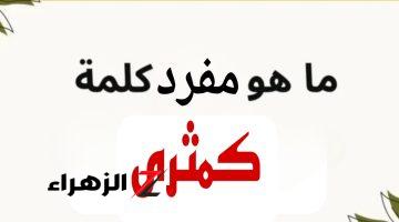 “سقطت دفعة بحالها” .. هل تعرف ماهو مفرد كلمة “كمثرى” التي عجز عن حلها الطلاب والمدرسين .. اعرف الإجابة قبل أي حد !!!