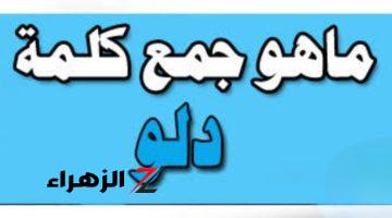 “الأذكياء بس هما اللي هيعرفوها” .. ماهو جمع كلمة “دلو” التي حيرت ملايين الطلاب في امتحان الثانوية العامة .. دكتور جامعي يوضح الإجابة للجميع !!!