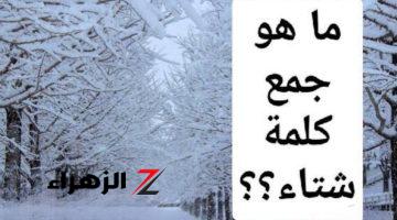 “سؤال صدم ملايين الطلاب” .. ماهو جمع كلمة “شتاء” في معجم اللغة العربية التي سقط بسببها آلاف الطلاب .. إجابة الكل بيدور عليها !!!