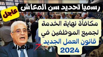 “فرحة عارمة في كل البيوت ” .. قرار حكومي مفاجئ للموظفين  بتحديد سن المعاش وتعيين قيمة مكافأة نهاية الخدمة .. ياحظك الحلو لو انت منهم !!!