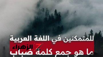 “موتوا نفسهم من العياط بسببه” .. خبير لغوي يوضح الإجابة الصحيحة لسؤال ماهو جمع كلمة “ضباب” التي سقط بسببها ملايين الطلاب .. اعرف الإجابة قبل أي حد !!!