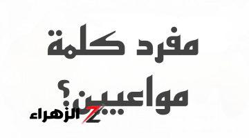 الطلاب سقطوا بسببها في العربي!!.. ما هو مفرد كلمة مواعين في اللغة العربية؟ خبير لغوي يصدمهم بالإجابة الصحيحة.. تبقى عبقري لو عرفت تحلها لوحدك !!!