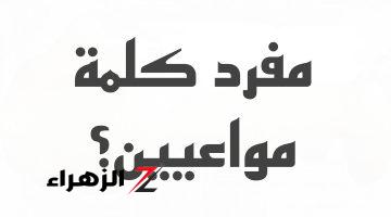 “احتار فيها اهل اللغة”… الاجابة النهائية لحل لغز «مفرد كلمة مواعيين» التي حيرت الملايين اكتشف السر