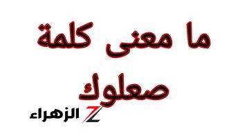 «10% الي عرفو الإجابة»… سؤال لاساطير اللغه العربيه ما هو مرادف كلمه صعلوك التي ابكت طلاب الثانويه وزلزلت الارض في مصر!!