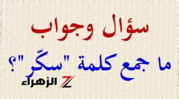 “صدمة لملايين الطلاب”.. ما هو جمع كلمة سكر في اللغة العربية – إجابة السؤال ستدهشك!! | شوفه لو متعرفش