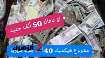 هتعمل فلوس زي الرز .. لو معاك 50 ألف جنيه هقولك علي فكرة مشروع أرباحه هتوصل لـ 40 ألف جنيه شهريا .. فكر عشان ماتندمش