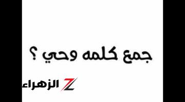 ولا طالب عرف يحلها .. ما هو جمع كلمة وحي في اللغة العربية؟.. السؤال الذي سقط جميع الكلاب وحير المدرسين