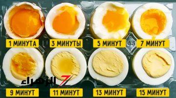 “اوعي تعملي كده كارثة”.. طريقة خاطئة لسلق البيض تؤدي إلى أمراض خطيرة اعرف الطريقة!!
