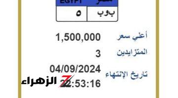 «بمليون ونصف».. لوحة سيارة مميزة في مزايدة بين 5 أشخاص.. المزاد هينتهي انهاردة!!