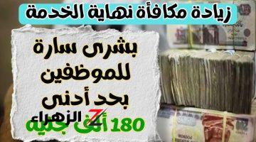 «عشان محدش يضحك عليك».. زيادة جديدة في مكافأة نهاية الخدمة لموظفي الحكومة في 2024