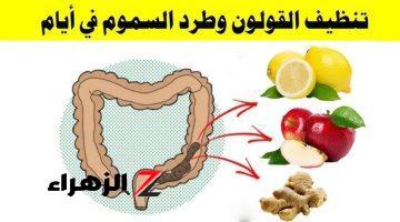 عشبة برخص التراب تنظف القولون وتخلصك من السموم!! كوب واحد لعلاج أصعب الحالات