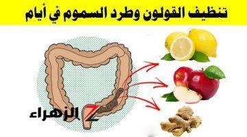 معجزة ربانية.. عشبة برخص التراب تنظف القولون وتخلصك من السموم!!  كوب واحد لعلاج أصعب الحالات