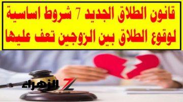 “مش هتطلق بالساهل” .. الحكومة تضع 7 شروط هامة جدا لوقوع الطلاق بين الزوج والزوجة في قانون الأحوال الشخصية الجديد 2024 .. لو انت جدع طلق بعد كل ده !!!