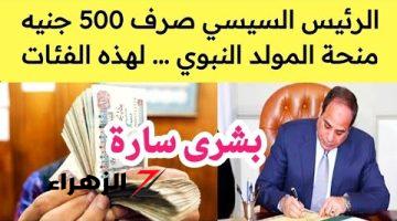 بصورة البطاقة.. صرف 500 جنيه منحة المولد النبوي الشريف بقرار رئاسي لهؤلاء الأشخاص .. خبر مفرح لكل المصريين