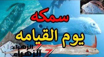 العالم كله مصدوم منها!!.. اكتشاف السمكة الثعبانية أخطر من الأفعي والتمساح مرعبة بكل المقاييس .. «سمكة يوم القيامة» | شكلها يخوف العفريت